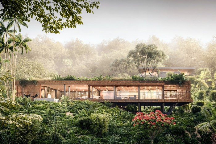 Modern house nestled in a dense, misty forest