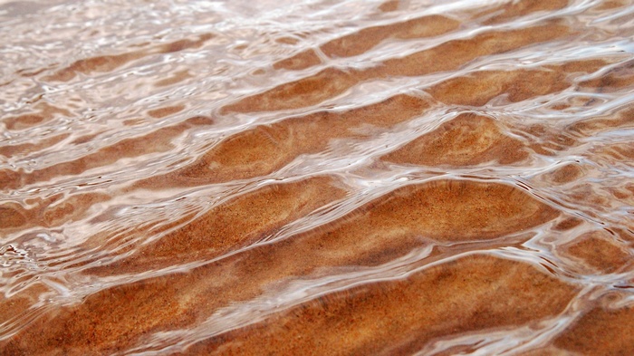 Ripples on a sandy seabed