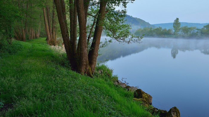 Misty River Morning in Bavaria, Germany