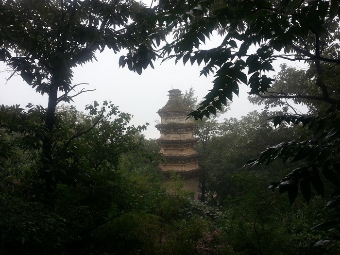 Pagoda in a misty forest
