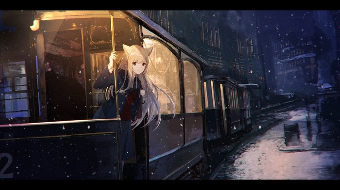 Anime girl with animal ears on a train at night