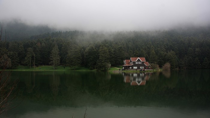 House by a lake with a forest and fog