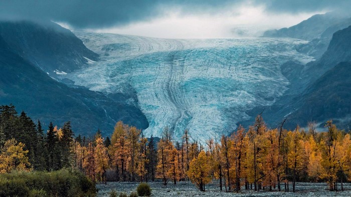 Glacier and Autumn Trees Landscape in Alaska