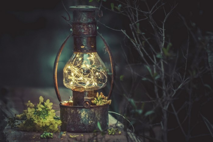 Old lantern with fairy lights and yellow flowers