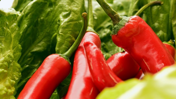 Red chili peppers and lettuce