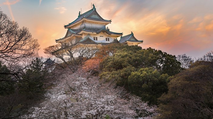 Osaka Castle with cherry blossoms at sunset