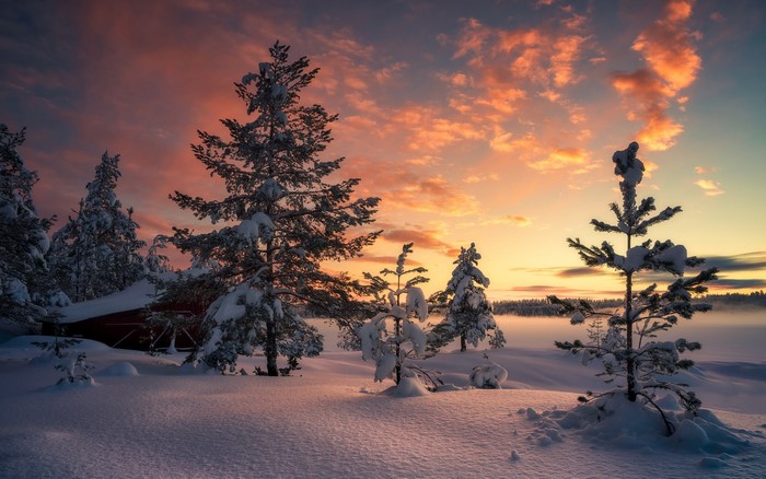 Winter barn at sunset with snow-covered trees