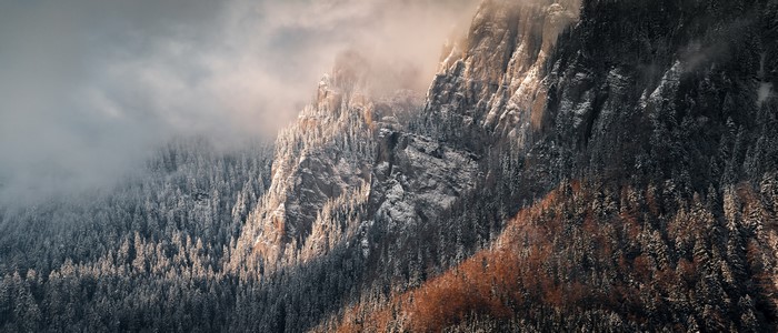 4K landscape of snowy mountains and forest