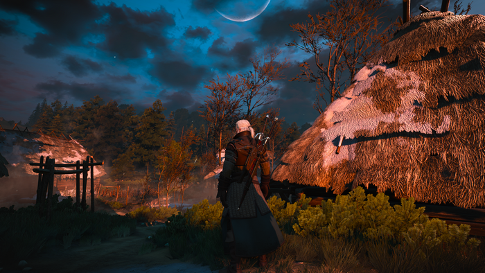 Geralt of Rivia from The Witcher 3: Wild Hunt