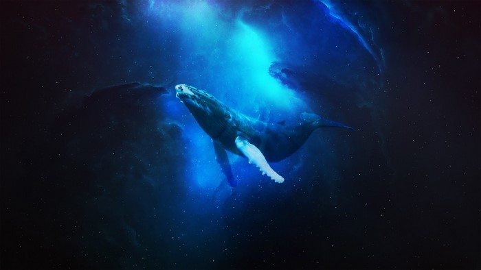 Whale swimming in a blue nebula in space