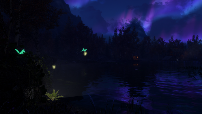 The Elder Scrolls V: Skyrim - Night scene with aurora