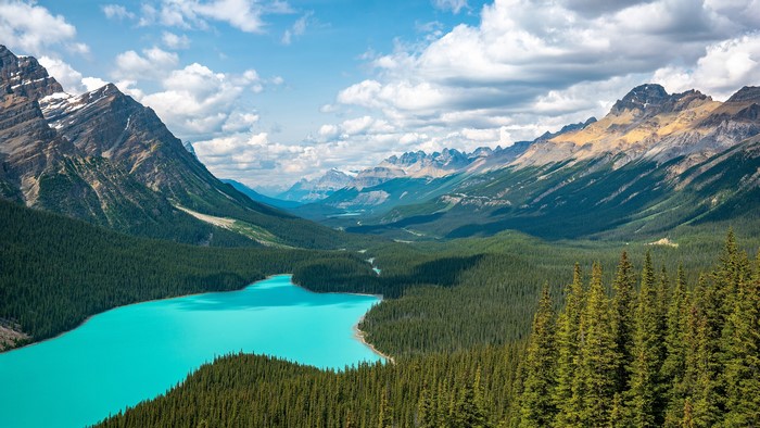 Turquoise lake surrounded by pine forest and mountains