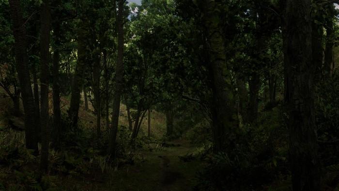 Forest path in Red Dead Redemption 2