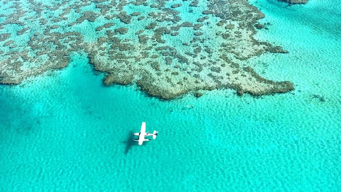 Seaplane flying over Great Barrier Reef coral