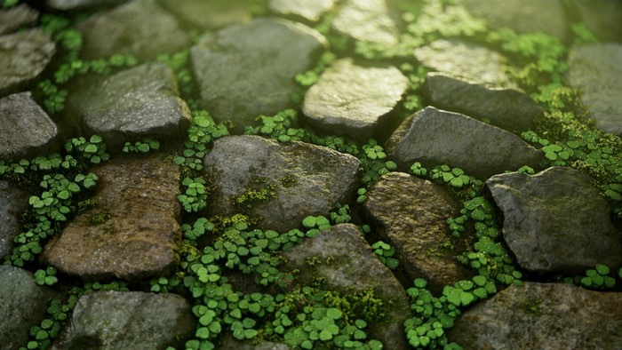 Stone path with clovers and moss