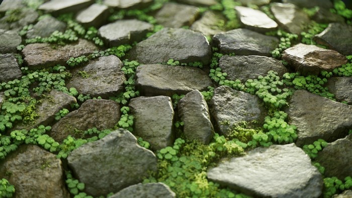 Stone path with clover and moss