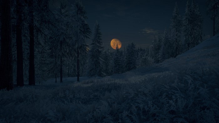 Generation Zero screenshot of a moonlit winter forest