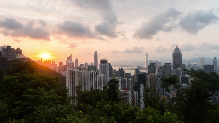 Hong Kong cityscape at sunset with trees