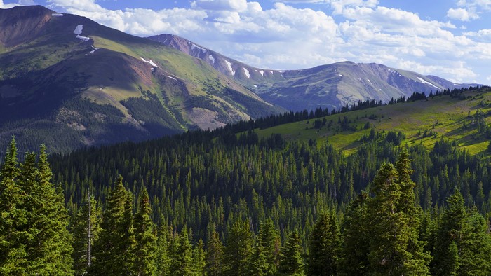 4K forest and mountains landscape with sky