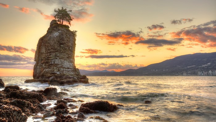 Rock formation with tree at sunset in Vancouver, British Columbia