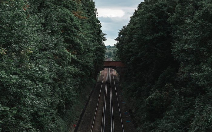 Railroad tracks through a forest with a bridge