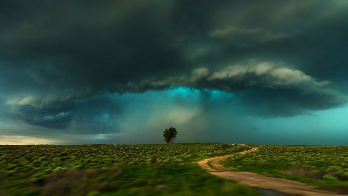Storm clouds over a grassy field with a dirt road and a lone tree