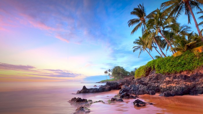 Sunset over a rocky beach with palm trees in Hawaii