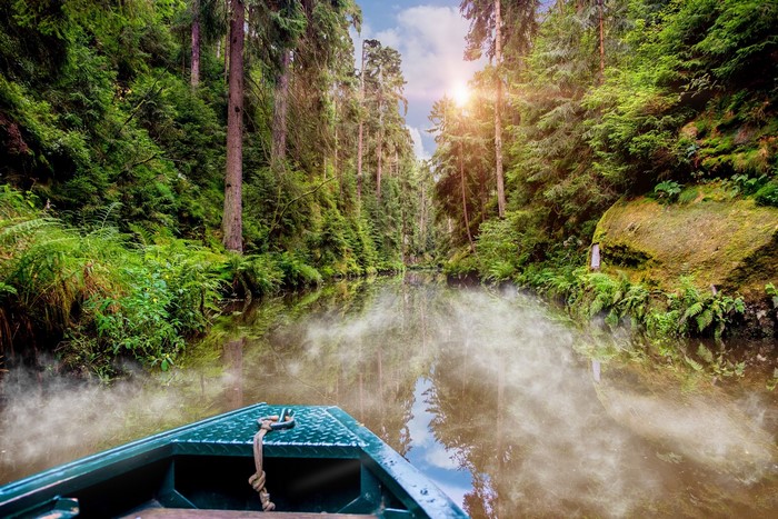 Boat on a misty river through a forest