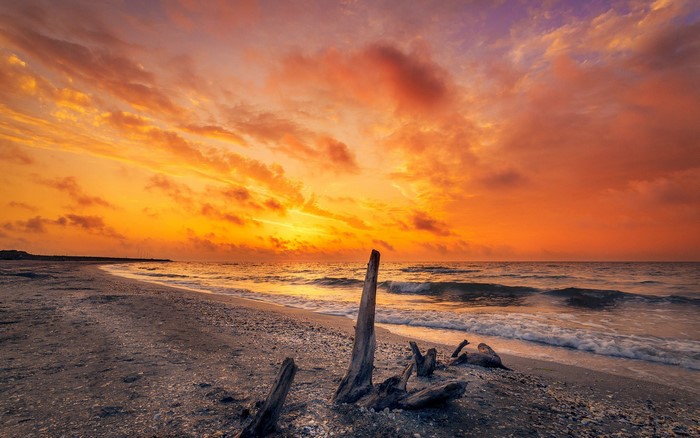 Sunrise over a beach with driftwood