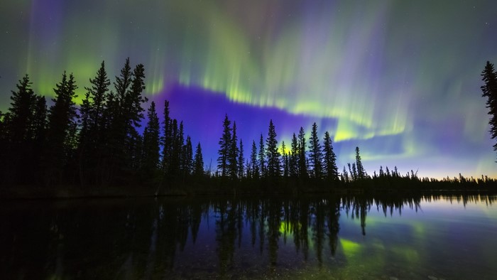 Aurora Borealis over a forest and lake in Alaska
