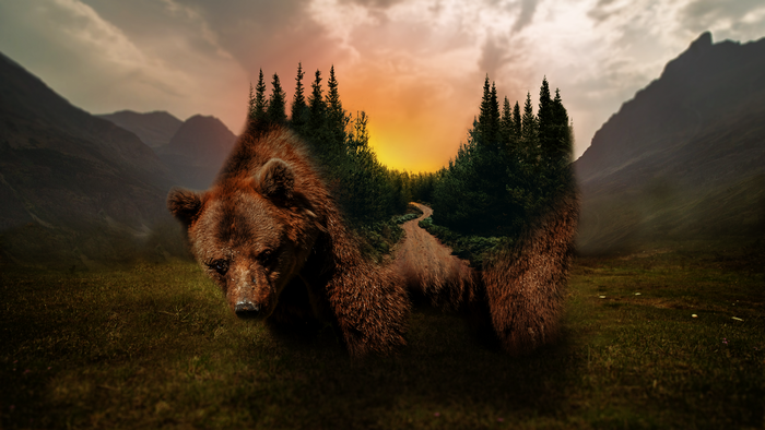 4K Digital Art of Grizzly Bear in Forest at Sunset