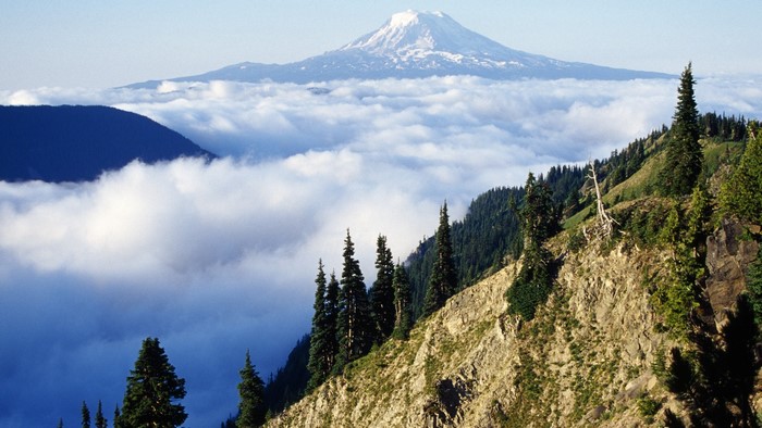 Mount Adams above clouds in Washington, USA