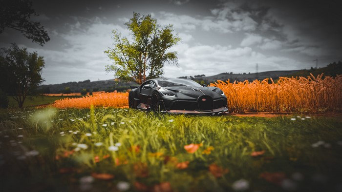 Bugatti Divo in a field of wheat and flowers