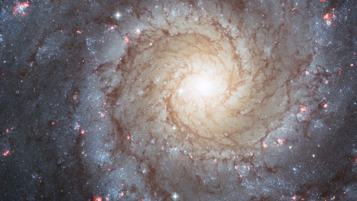 Spiral Galaxy in Deep Space