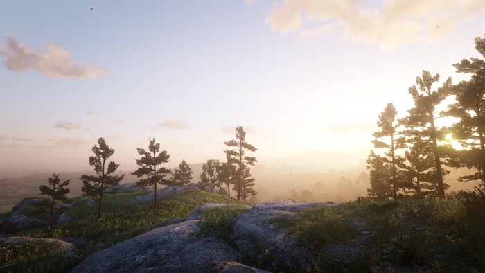 Red Dead Redemption 2 landscape with trees and rocks