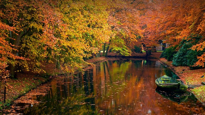 Boat on a canal surrounded by autumn trees in the Netherlands