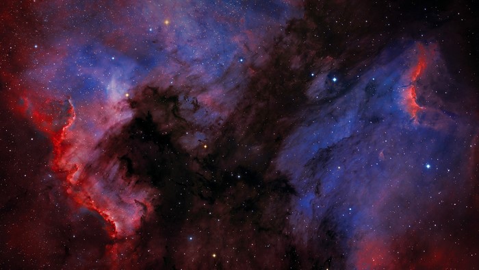 Pelican Nebula in the Cygnus Constellation