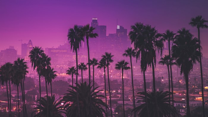 Palm trees in front of Los Angeles cityscape at dusk