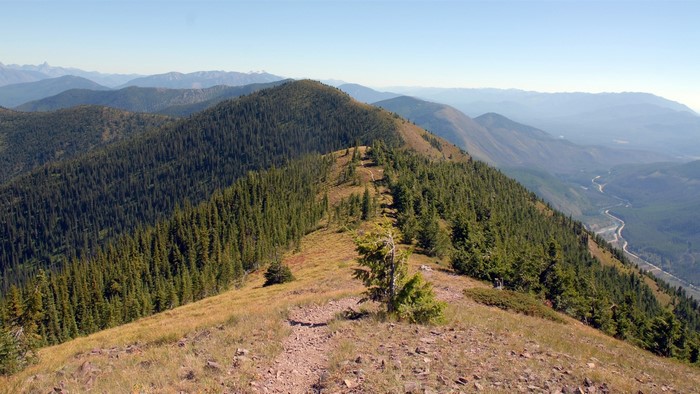 Mountain ridge with pine forest and distant river valley
