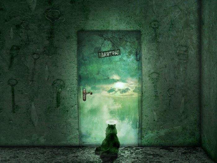 Cat in front of a door with Cyrillic text