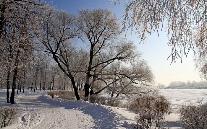 Snowy park path with frosted trees and frozen river