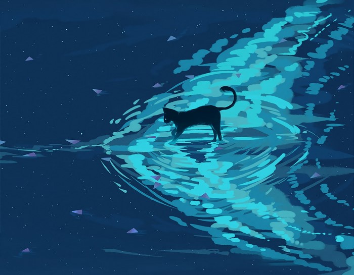 Black cat walking on glowing water at night