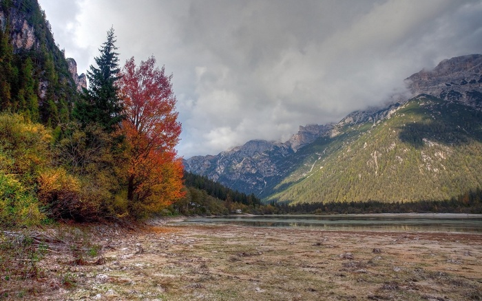 Autumn trees by a lake with mountains