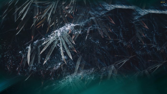 Dark underwater scene with bamboo leaves and water