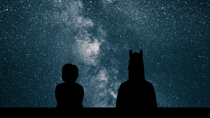 Bojack Horseman and a child looking at the Milky Way