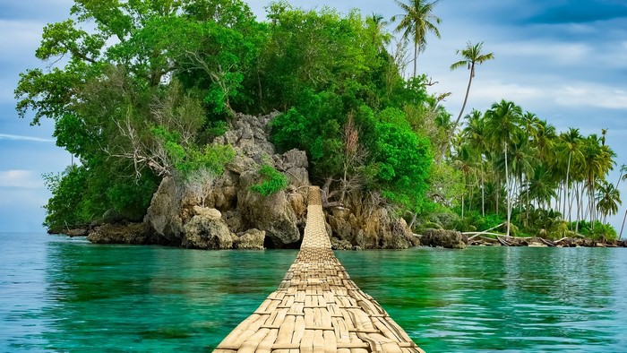 Bamboo bridge leading to a tropical island with palm trees