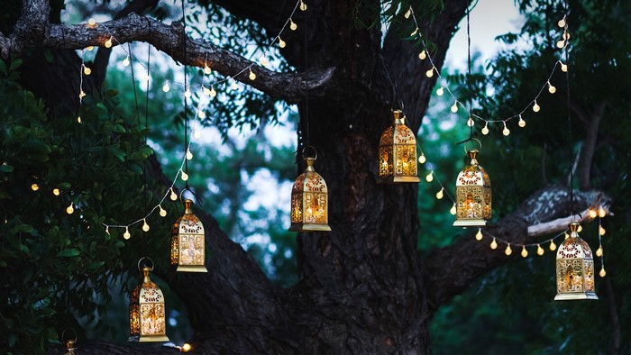 Lanterns and string lights hanging from a tree