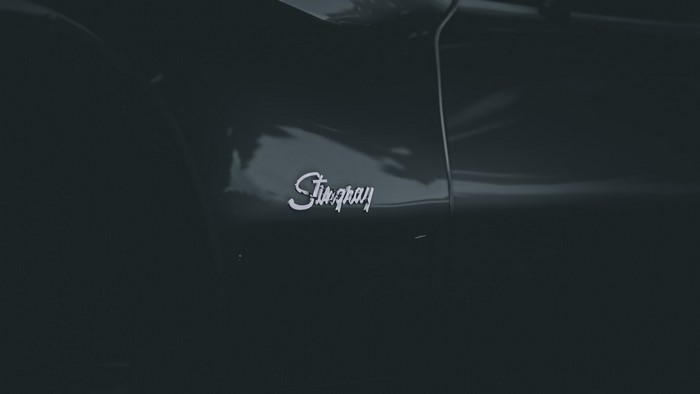 Chevrolet Corvette Stingray Emblem on Car