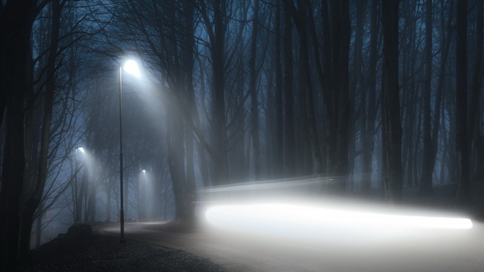 Street lights on a foggy road through a forest