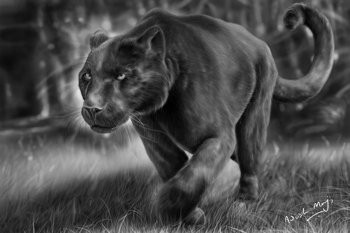 Black Panther artwork in a forest
